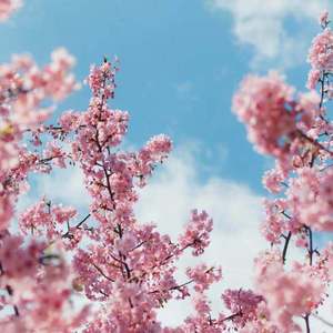 夜夜夜夜夜久久久久久
